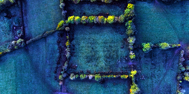 美股期指即时行情(美股期指行情实时)插图2
