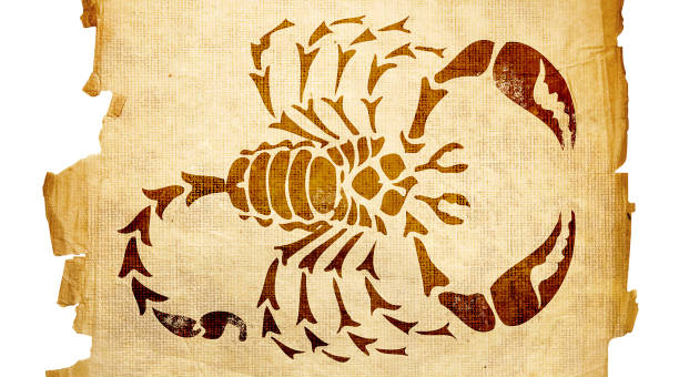 山河故人豆瓣影评(“山河故人”——豆瓣电影的一次热议)插图1