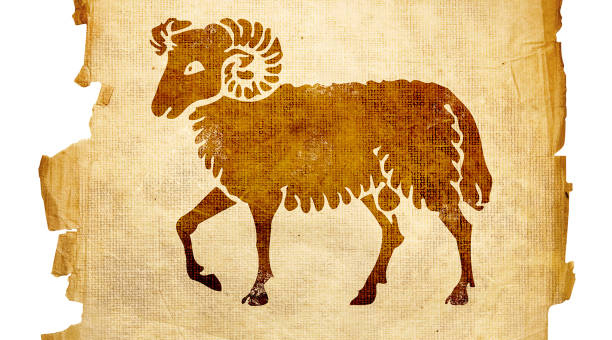 锦州房产中介排名(锦州房产中介综合评价及排名)插图1